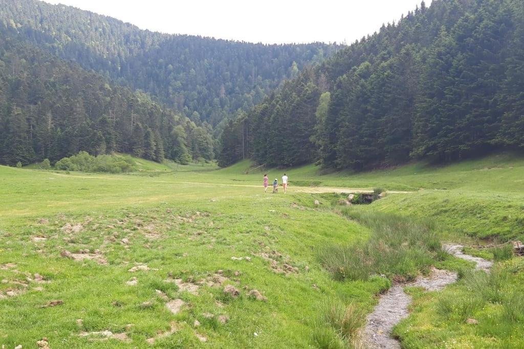La Cabane Du Cerf A Payolle Campan Eksteriør bilde